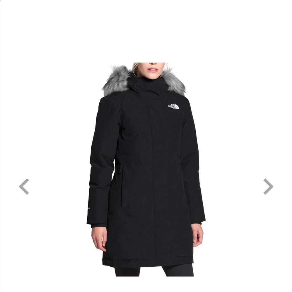 COPY - Northface Artic Parka